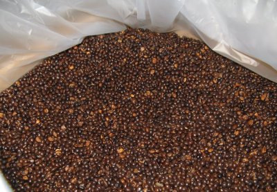 seed