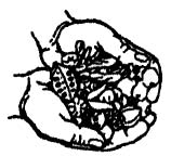 rcs